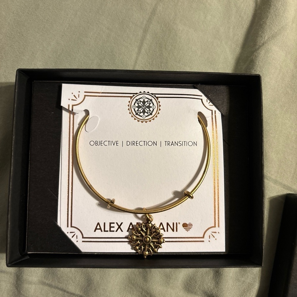 Alex and Ani Objective Direction Transition Compass Charm Bracelet New in Box